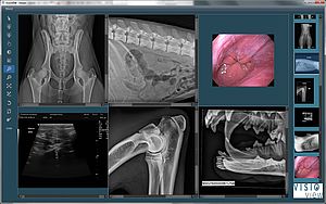 csm_Viewer_2e978e6827